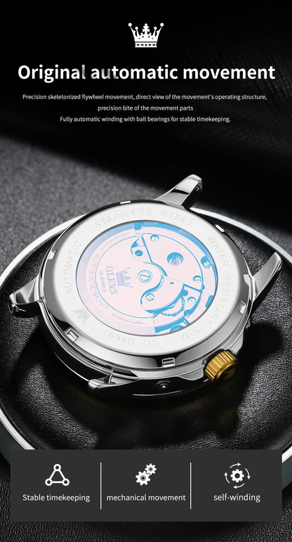 OLEVS Skeleton Multifunctional   Automatic Mechanical  Wrist  For Men    Strap 6691