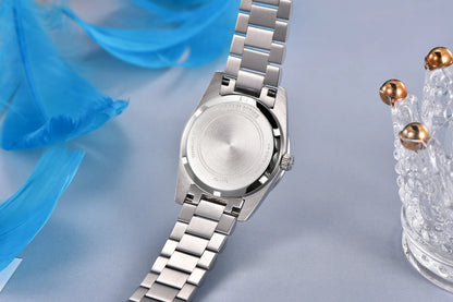 PAGANI DESIGN 2024  32MM  Wristwatch Elegant  Quartz  For Women   Watches Sapphire